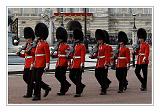 Trooping the Colour 091